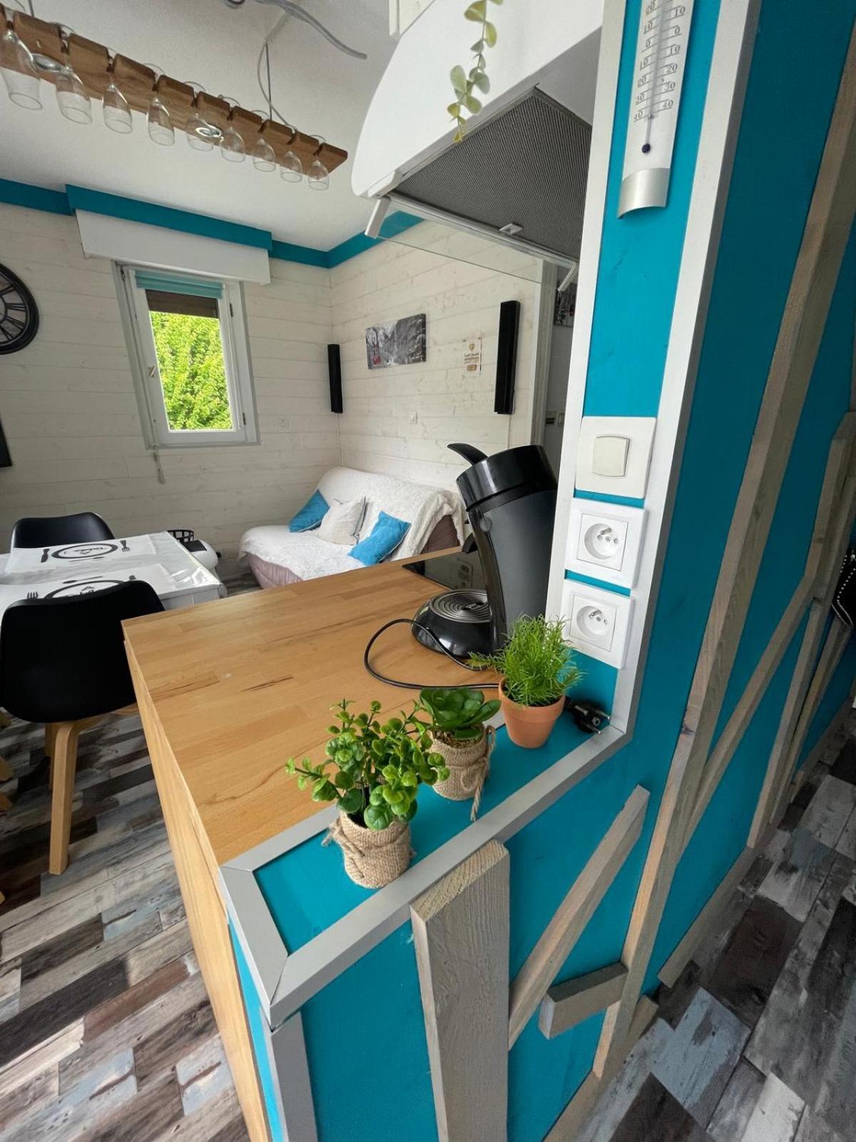 Appartement Confortable Labellise Saint Lary Vignec المظهر الخارجي الصورة